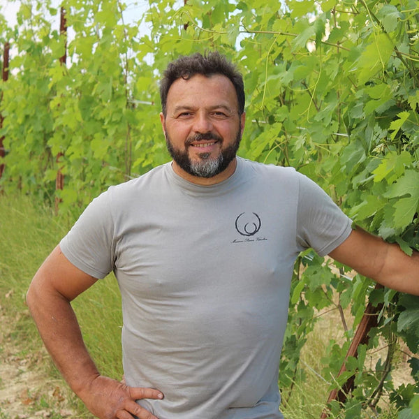 Massimo Penna "Jai" Langhe Arneis DOC- License: 31.02/BTL Private: $36.80/BTL