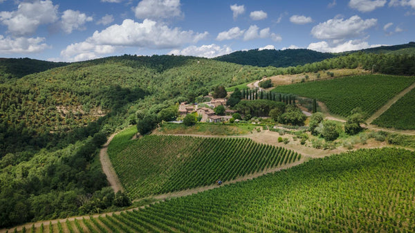 Montecchio Chianti Classico DOCG- Private: $29.57/BTL - License: $25.44/BTL
