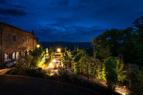Montecchio Primum Chianti Classico Riserva DOCG - Private: $47.18/BTL - License: $42.4/BTL