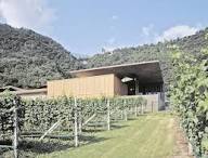 Nals Margreid Galea Vernatsch  DOC - Private: $40.66/BTL - License: $33.94/BTL