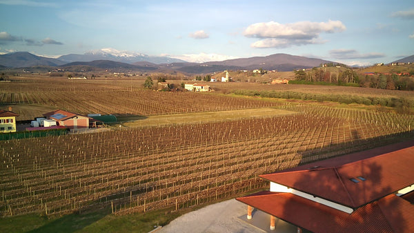 Cozzarolo Merlot Riserva DOC Friuli Colli Orientali- Private: $31.89/BTL - License: $26.88/BTL